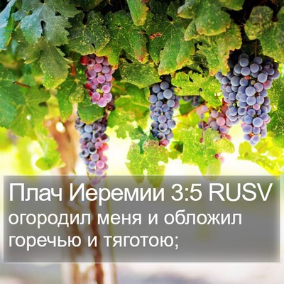 Плач Иеремии 3:5 RUSV Bible Verse Image