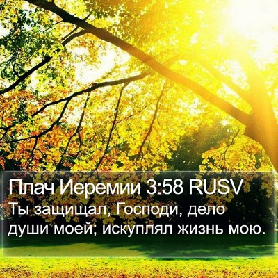 Плач Иеремии 3:58 RUSV Bible Verse Image