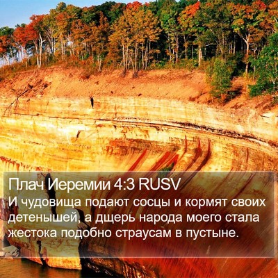 Плач Иеремии 4:3 RUSV Bible Verse Image
