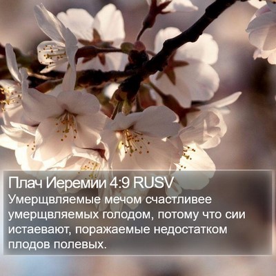 Плач Иеремии 4:9 RUSV Bible Verse Image