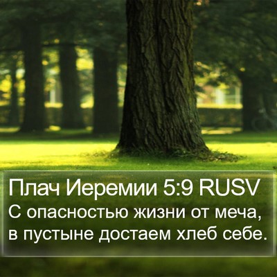 Плач Иеремии 5:9 RUSV Bible Verse Image