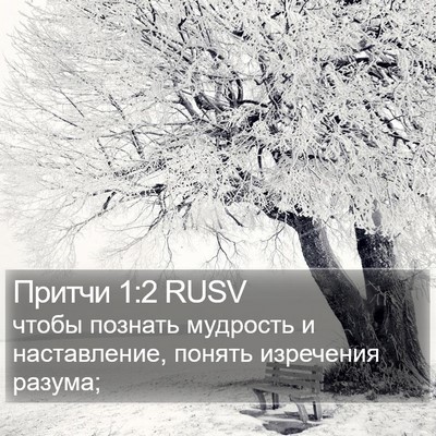 Притчи 1:2 RUSV Bible Verse Image