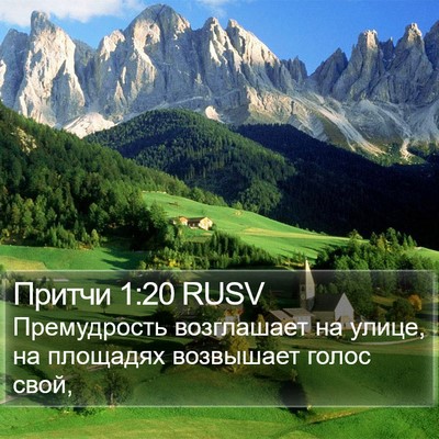 Притчи 1:20 RUSV Bible Verse Image