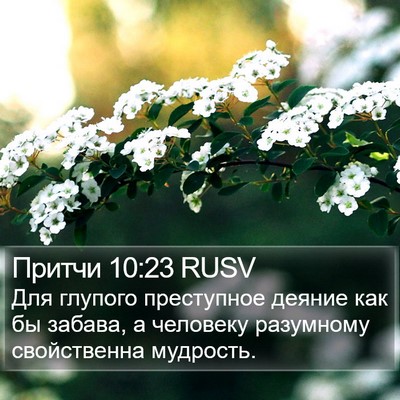 Притчи 10:23 RUSV Bible Verse Image