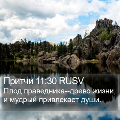 Притчи 11:30 RUSV Bible Verse Image