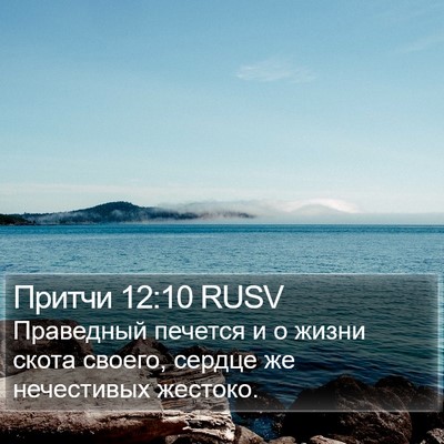 Притчи 12:10 RUSV Bible Verse Image