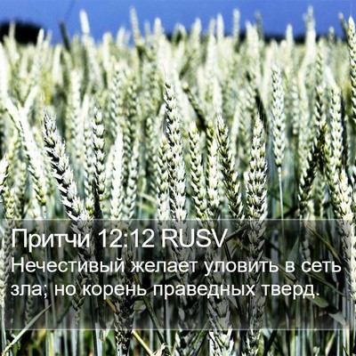 Притчи 12:12 RUSV Bible Verse Image