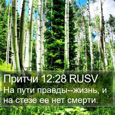 Притчи 12:28 RUSV Bible Verse Image