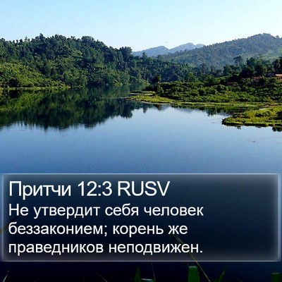 Притчи 12:3 RUSV Bible Verse Image