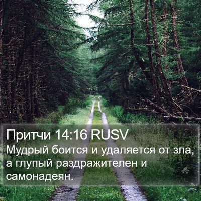 Притчи 14:16 RUSV Bible Verse Image