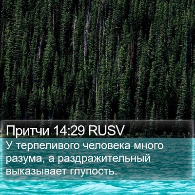 Притчи 14:29 RUSV Bible Verse Image