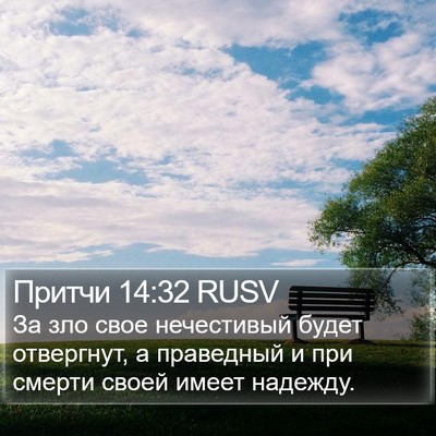 Притчи 14:32 RUSV Bible Verse Image