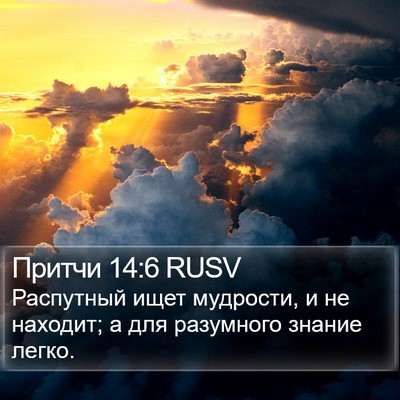 Притчи 14:6 RUSV Bible Verse Image