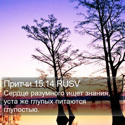 Притчи 15:14 RUSV Bible Verse Image