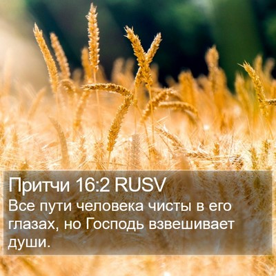 Притчи 16:2 RUSV Bible Verse Image