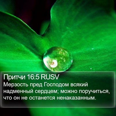 Притчи 16:5 RUSV Bible Verse Image