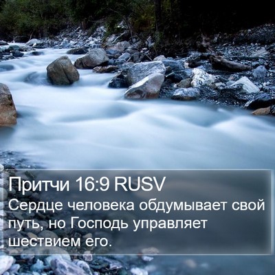 Притчи 16:9 RUSV Bible Verse Image