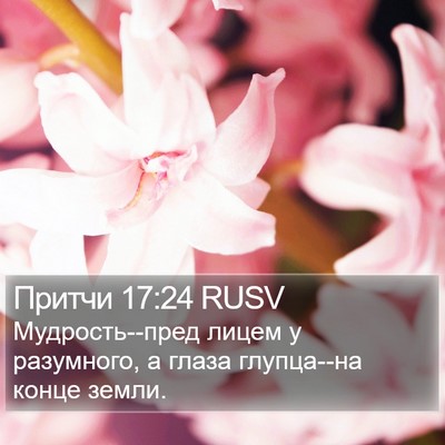 Притчи 17:24 RUSV Bible Verse Image