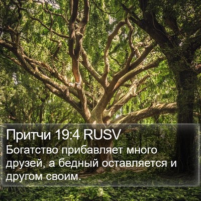 Притчи 19:4 RUSV Bible Verse Image