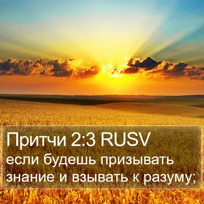 Притчи 2:3 RUSV Bible Verse Image