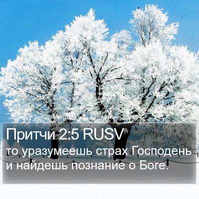 Притчи 2:5 RUSV Bible Verse Image