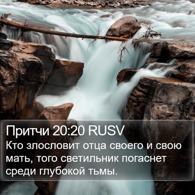 Притчи 20:20 RUSV Bible Verse Image