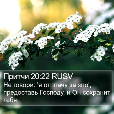 Притчи 20:22 RUSV Bible Verse Image