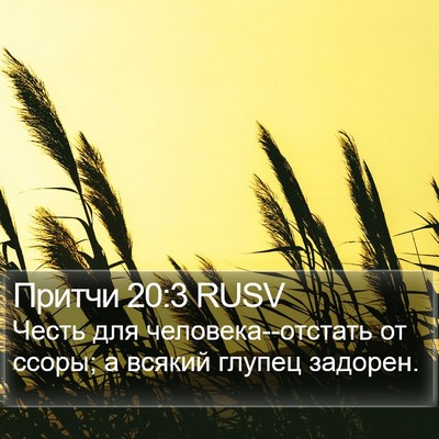 Притчи 20:3 RUSV Bible Verse Image