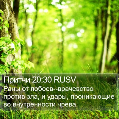 Притчи 20:30 RUSV Bible Verse Image