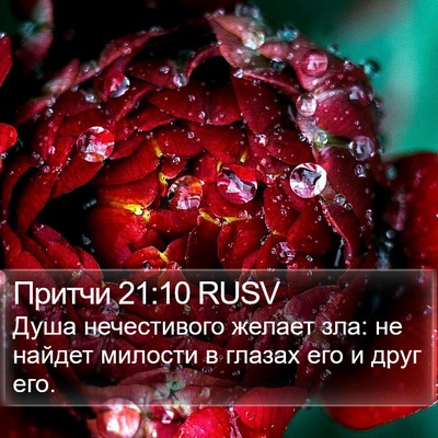 Притчи 21:10 RUSV Bible Verse Image