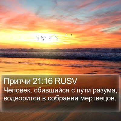 Притчи 21:16 RUSV Bible Verse Image