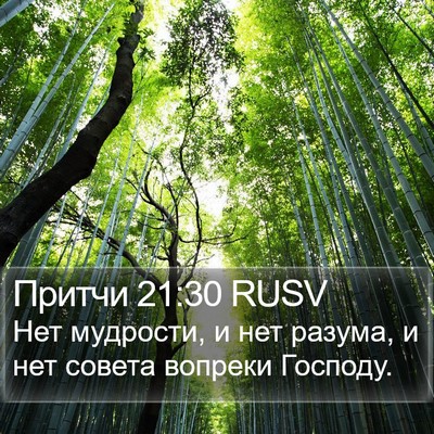 Притчи 21:30 RUSV Bible Verse Image