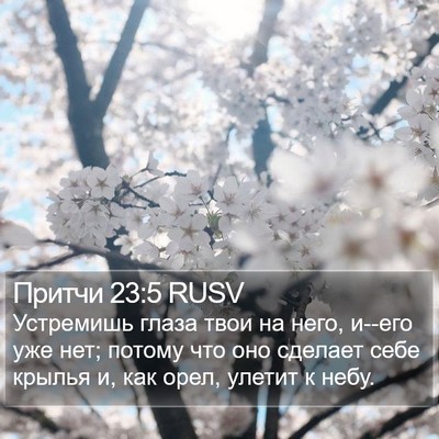 Притчи 23:5 RUSV Bible Verse Image