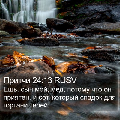 Притчи 24:13 RUSV Bible Verse Image