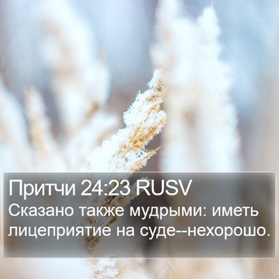 Притчи 24:23 RUSV Bible Verse Image