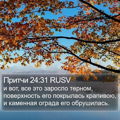 Притчи 24:31 RUSV Bible Verse Image