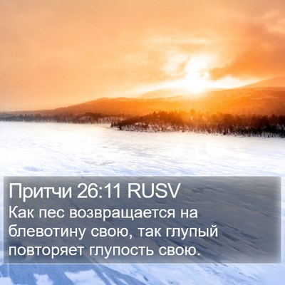 Притчи 26:11 RUSV Bible Verse Image