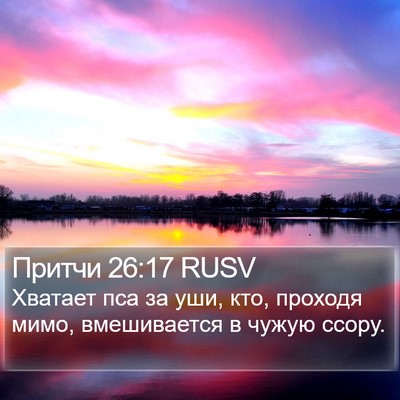 Притчи 26:17 RUSV Bible Verse Image