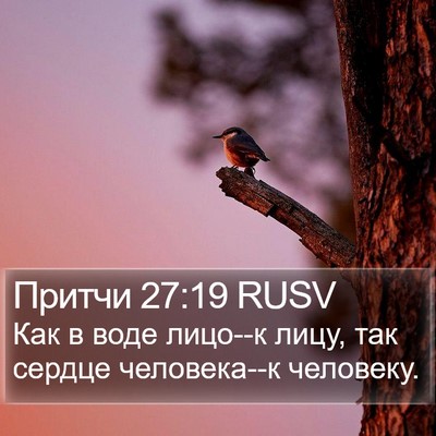 Притчи 27:19 RUSV Bible Verse Image