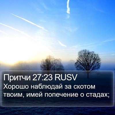 Притчи 27:23 RUSV Bible Verse Image