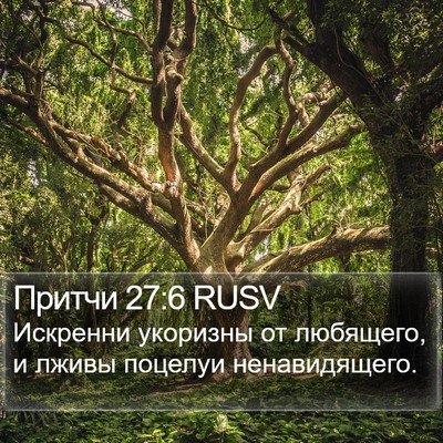 Притчи 27:6 RUSV Bible Verse Image