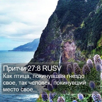Притчи 27:8 RUSV Bible Verse Image