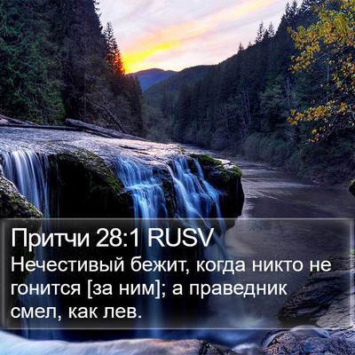 Притчи 28:1 RUSV Bible Verse Image