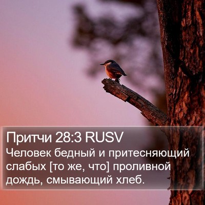 Притчи 28:3 RUSV Bible Verse Image