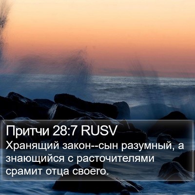 Притчи 28:7 RUSV Bible Verse Image
