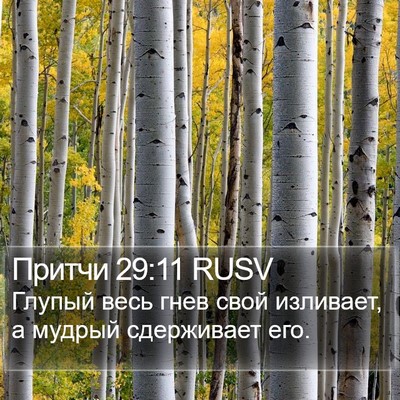 Притчи 29:11 RUSV Bible Verse Image