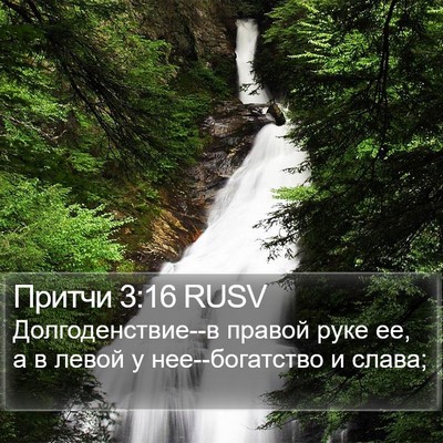 Притчи 3:16 RUSV Bible Verse Image