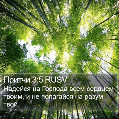 Притчи 3:5 RUSV Bible Verse Image