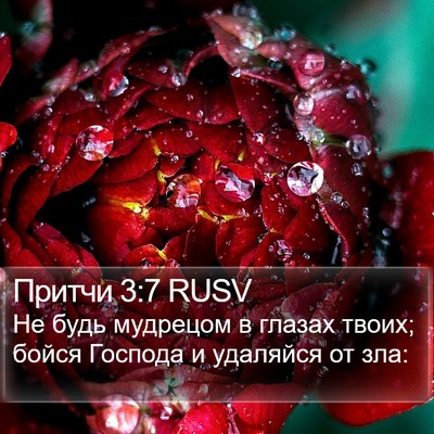 Притчи 3:7 RUSV Bible Verse Image