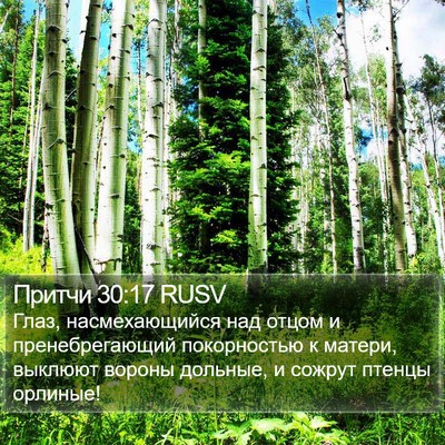 Притчи 30:17 RUSV Bible Verse Image